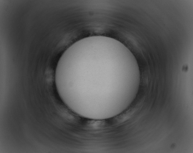 X0000101150135200807181344