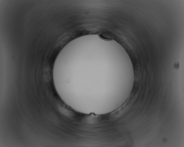 X0000101150136200807181344