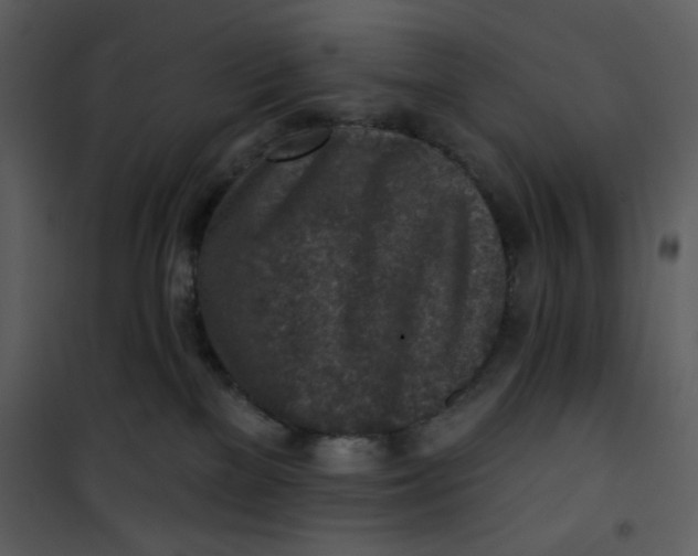 X0000101150137200807181344