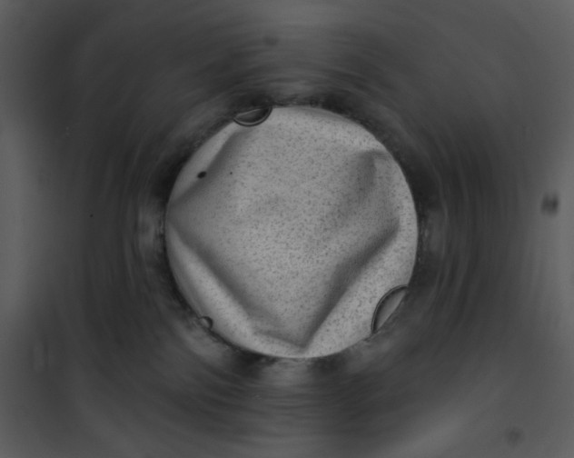 X0000101150138200807181343