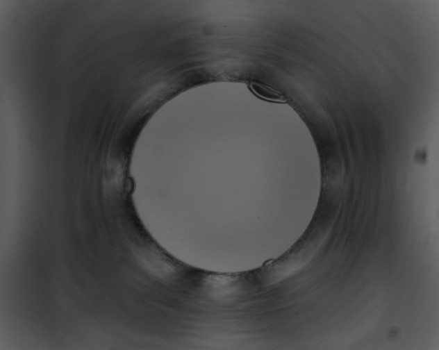 X0000101150139200807181343