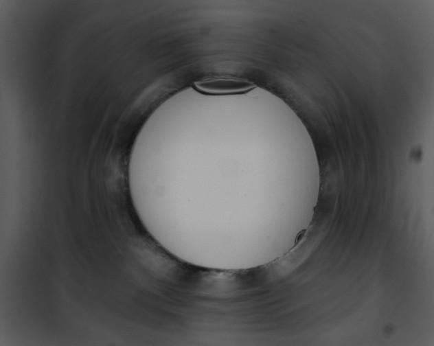 X0000101150140200807181343