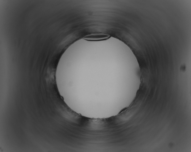 X0000101150141200807181343