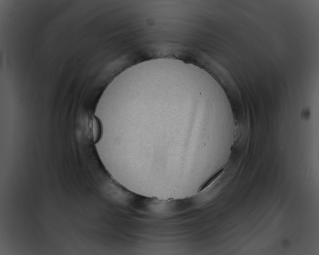 X0000101150142200807181343