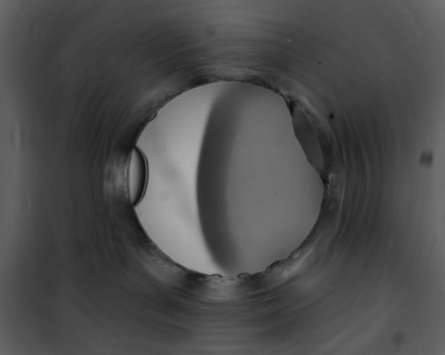 X0000101150143200807181343