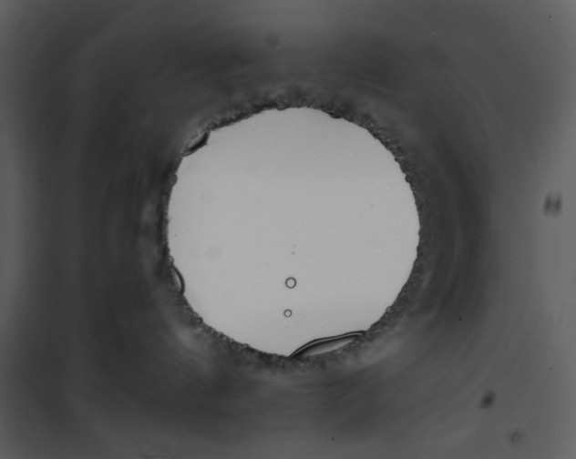 X0000101150144200807181343