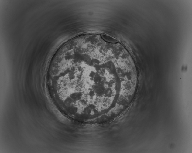 X0000101150145200807181343