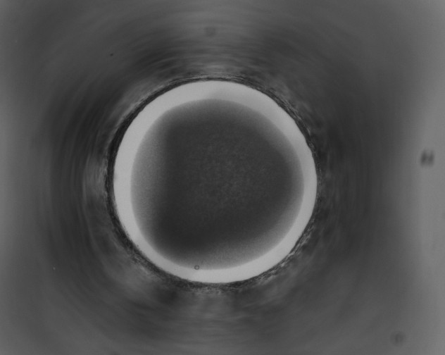 X0000101150146200807181343