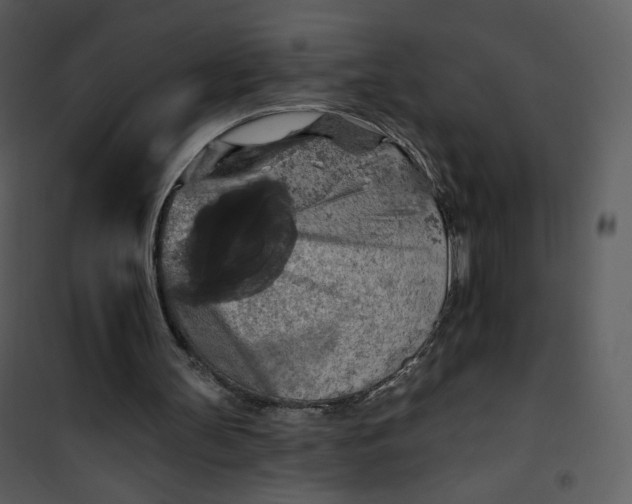 X0000101150147200807181343