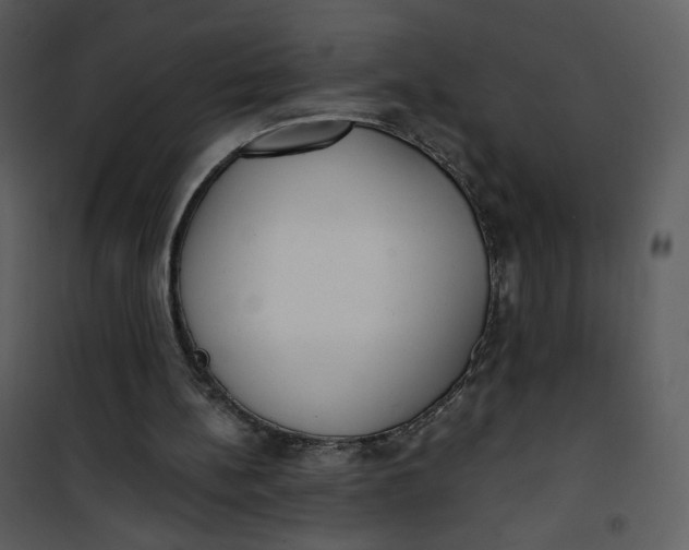 X0000101150148200807181343