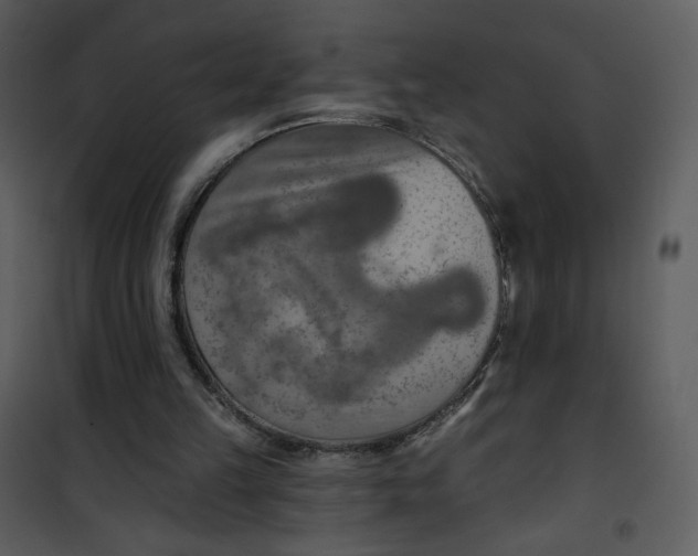 X0000101150149200807181343