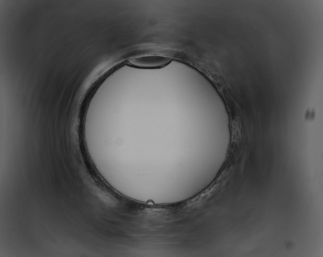 X0000101150150200807181343