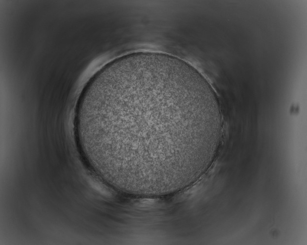 X0000101150151200807181343