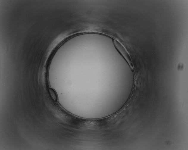 X0000101150152200807181343