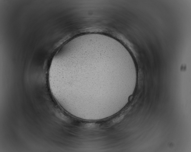 X0000101150153200807181343