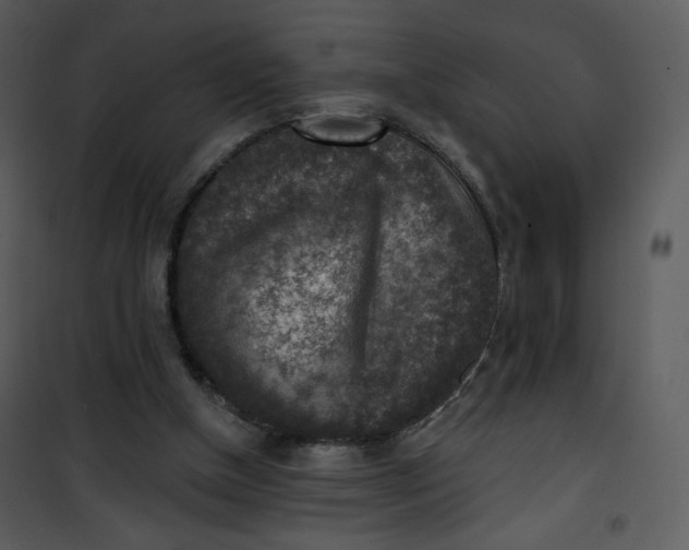 X0000101150154200807181343