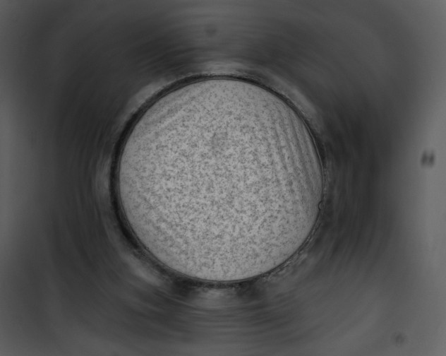 X0000101150155200807181343