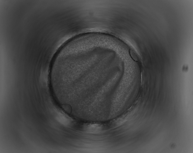 X0000101150156200807181343