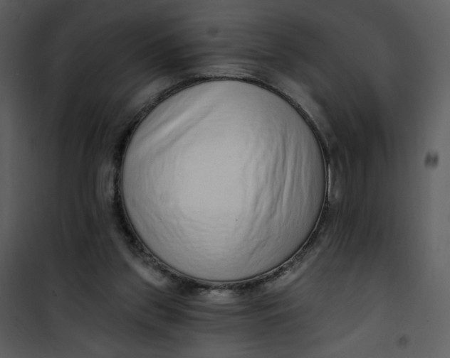 X0000101150157200807181343