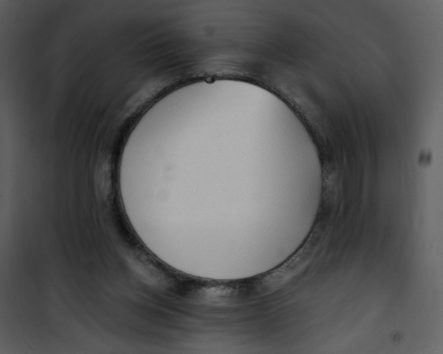 X0000101150158200807181343