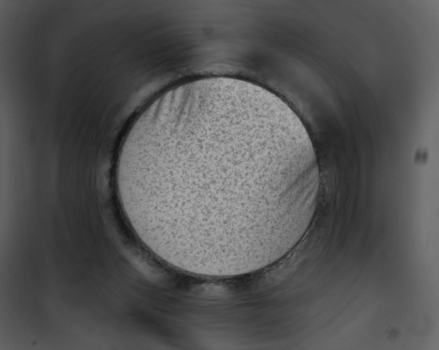 X0000101150159200807181343