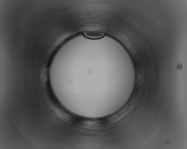 X0000101150160200807181343