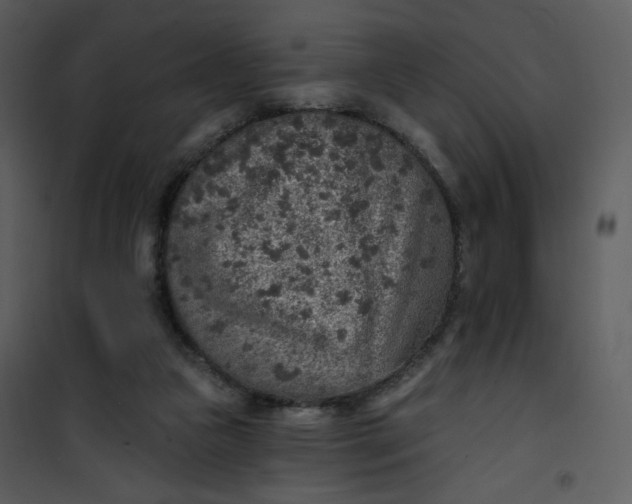 X0000101150161200807181343