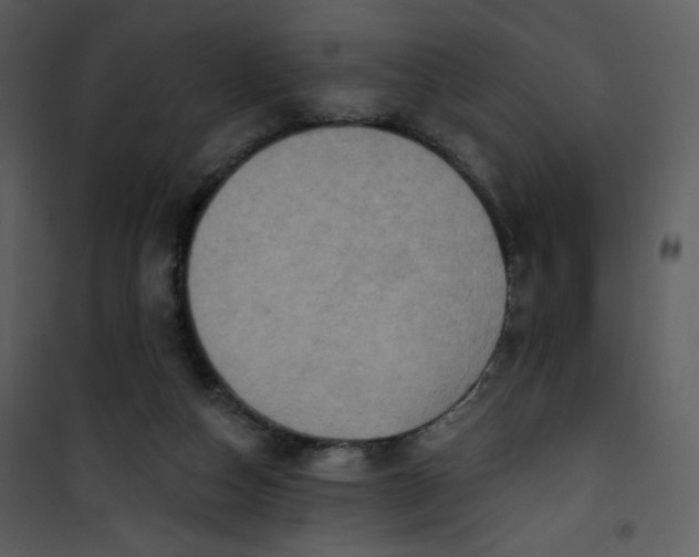 X0000101150162200807181343