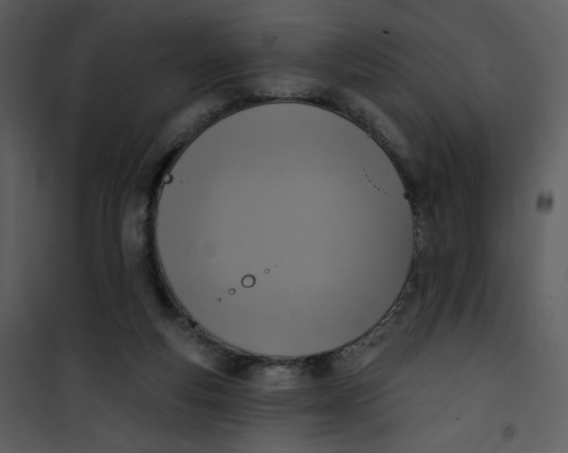 X0000101150163200807181343