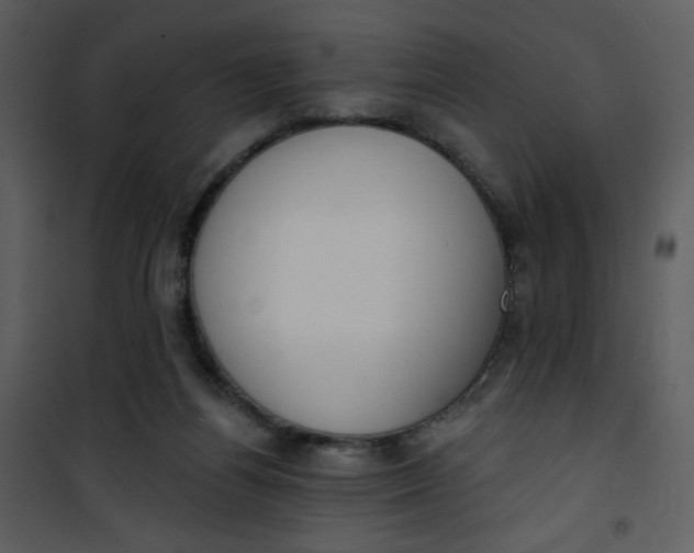 X0000101150164200807181343