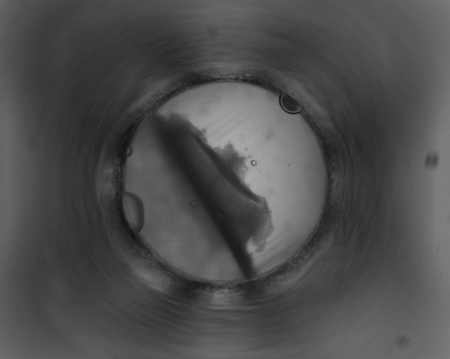 X0000101150165200807181343