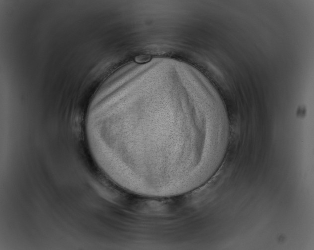 X0000101150166200807181343