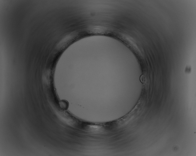 X0000101150167200807181343