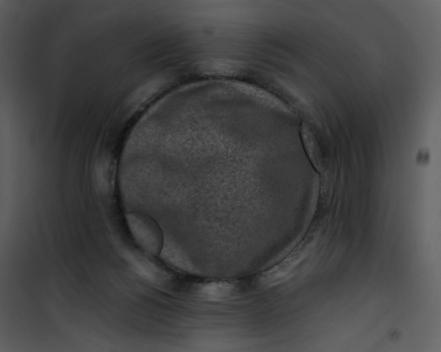 X0000101150168200807181343