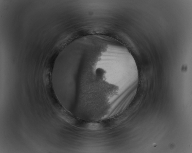 X0000101150169200807181343