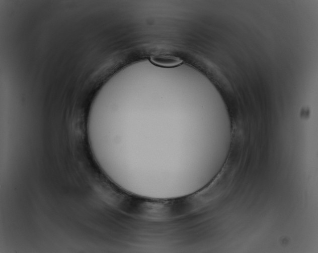 X0000101150170200807181343