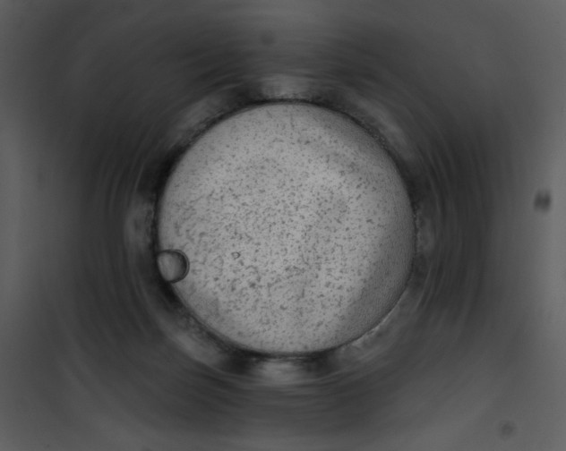 X0000101150171200807181343