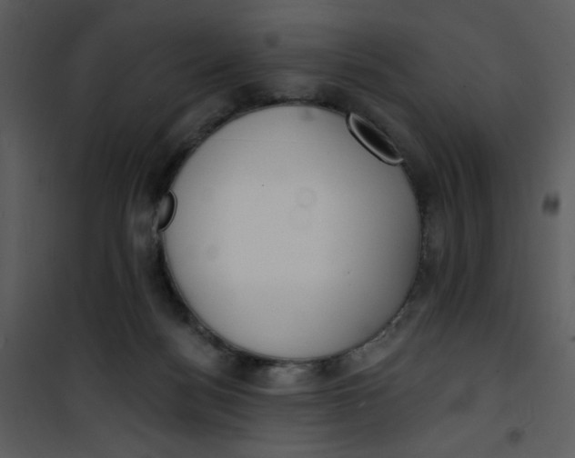 X0000101150172200807181343