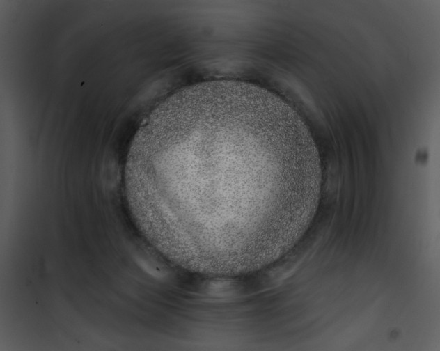 X0000101150173200807181343