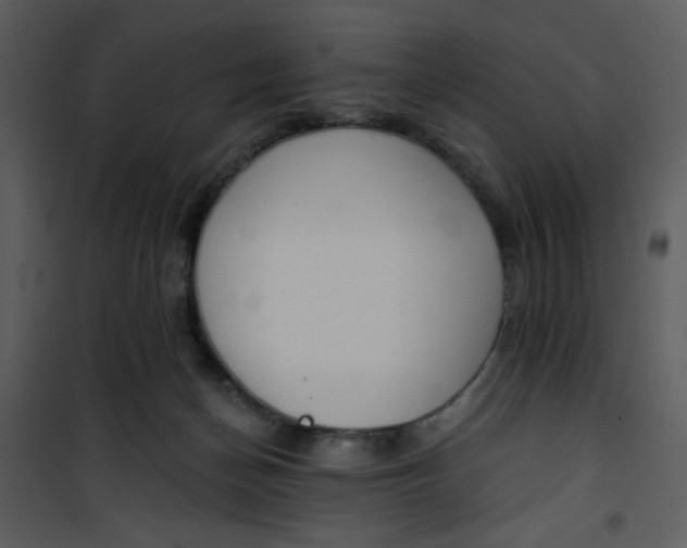 X0000101150174200807181343