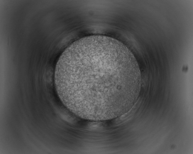 X0000101150175200807181343