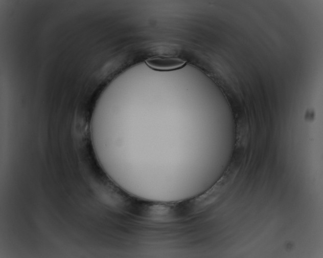 X0000101150176200807181343