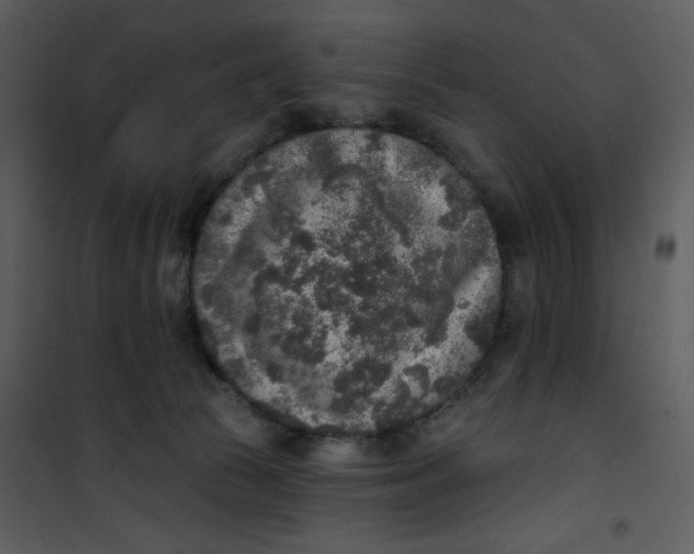 X0000101150177200807181343