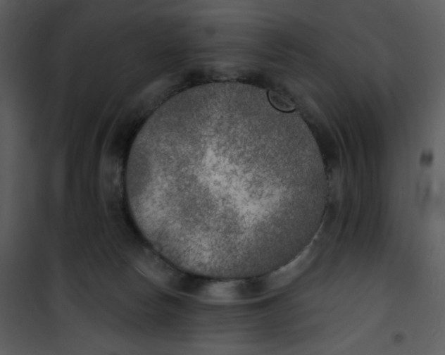 X0000101150178200807181343