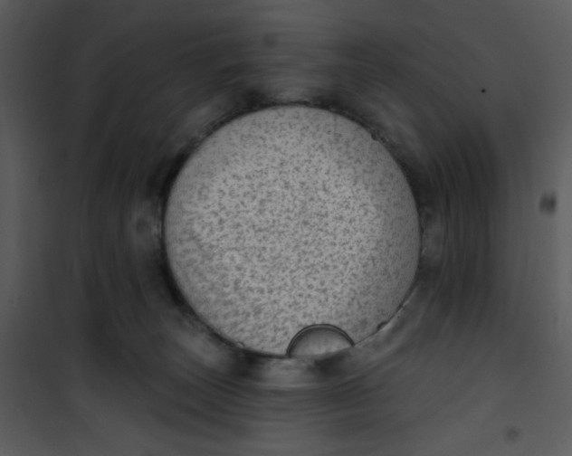 X0000101150179200807181343