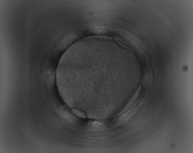 X0000101150180200807181343