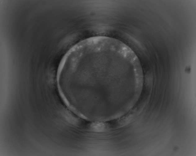 X0000101150181200807181343