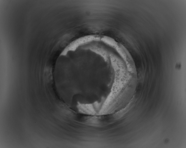 X0000101150182200807181343