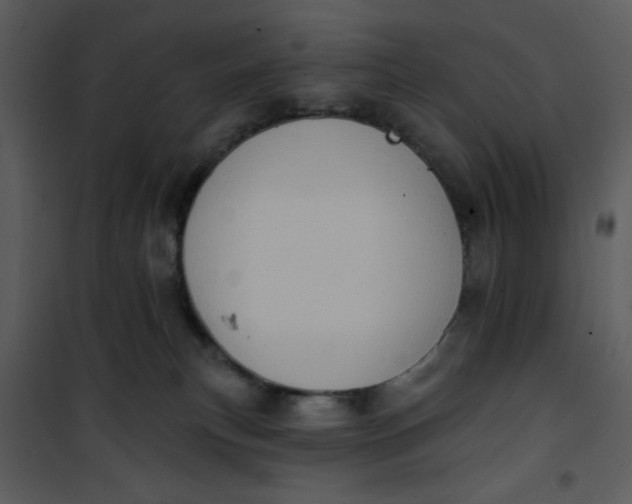 X0000101150183200807181343