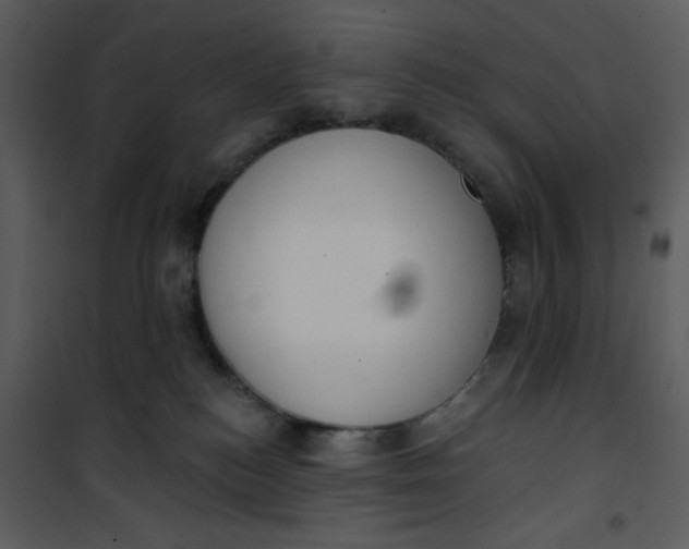 X0000101150184200807181343